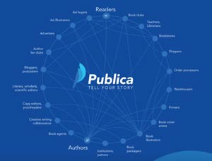 Publica ICO: Evaluation and Analysis