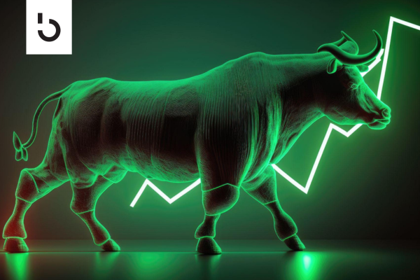Crypto bull market strategies